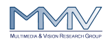 Multimedia and Vision Group